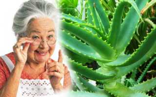 Как самостоятельно вылечить полипы в носу народными средствами