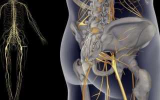 Признаки и способы лечения невралгии бедренного нерва