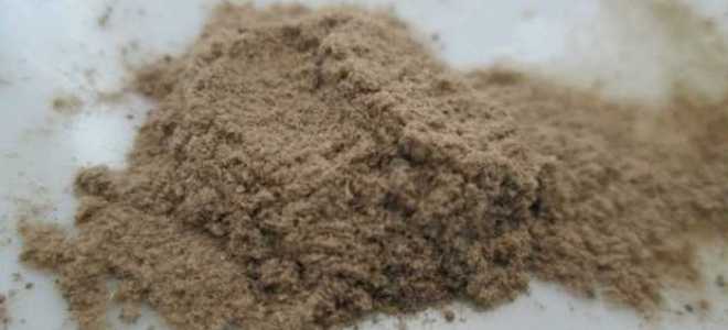 Эффективность применения Бадяги в виде порошка