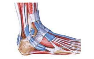 Особенности проявления тендинита голеностопного сустава