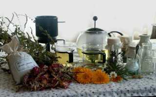 Лечение полипа матки народными средствами и отзывы женщин