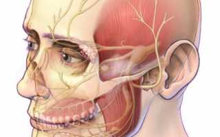 Симптомы защемления тройничного нерва и лечебные меры