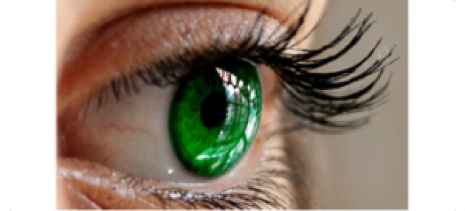 Психика и зрение