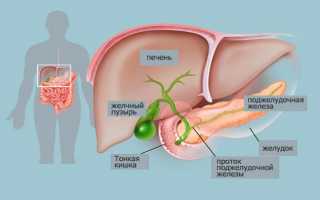 Как лечат полип печени и что делать, если их обнаружили на диагностике