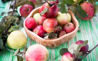 Можно ли при лечении подагры употреблять яблоки?