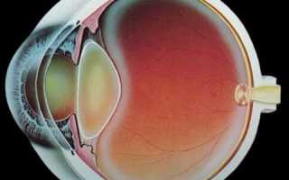 Хрусталик глаза — строение, функции, заболевания