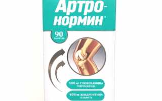 Препарат Артронормин для профилактики болезней суставов