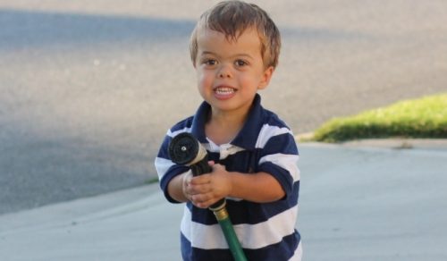 Патология хондродистрофия