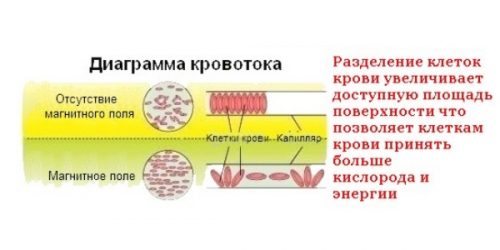 Увеличение кровотока при помощи магнитотерапии Увеличение кровотока при помощи магнитотерапии