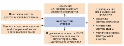 Механизм действия хондроитина сульфата Механизм действия хондроитина сульфата