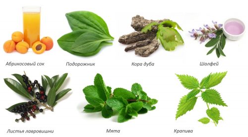 Состав сиропа Фитокальцин Состав сиропа Фитокальцин