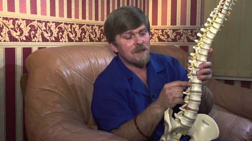 Вертеброревитолог — доктор Данилов Вертеброревитолог — доктор Данилов