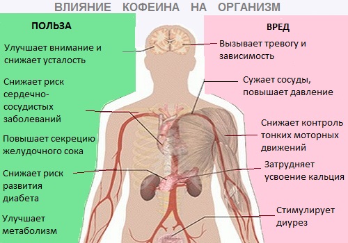 Влияние кофеина на организм