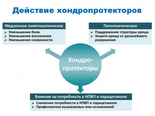 Функции хондропротекторов