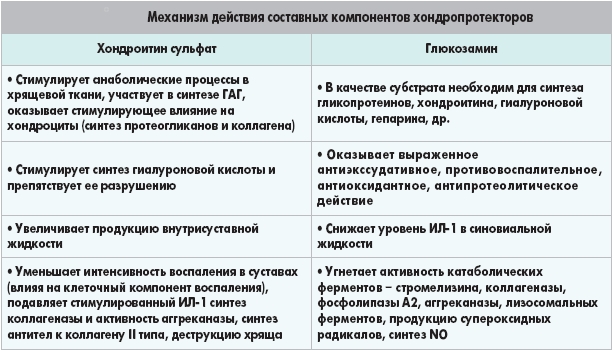 Механизм действия хондроитина и глюкозамина Механизм действия хондроитина и глюкозамина