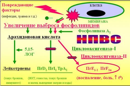 Действие НПВС 