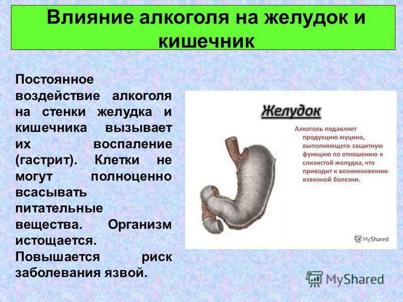 Влияние алкоголя на желудок