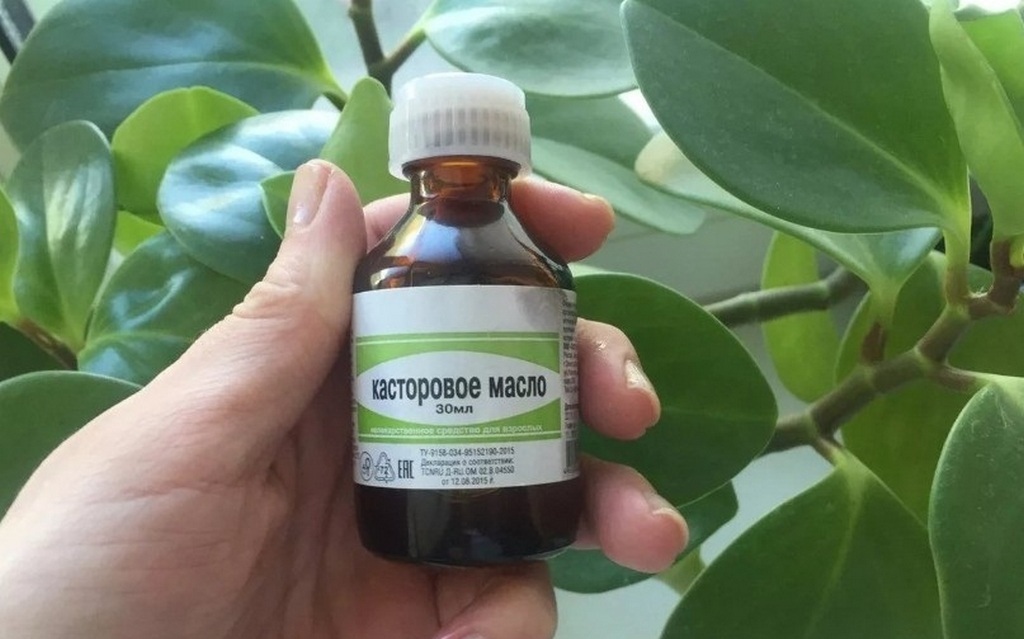 Касторовое масло для лица от морщин Касторовое масло для лица от морщин